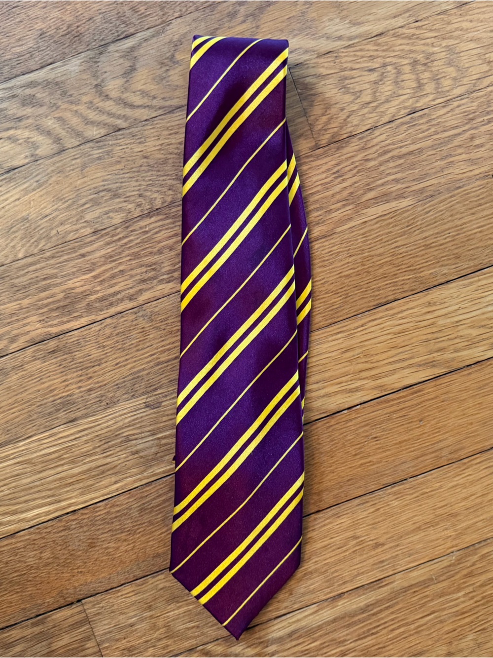 Harry Potter Gryffindor Tie